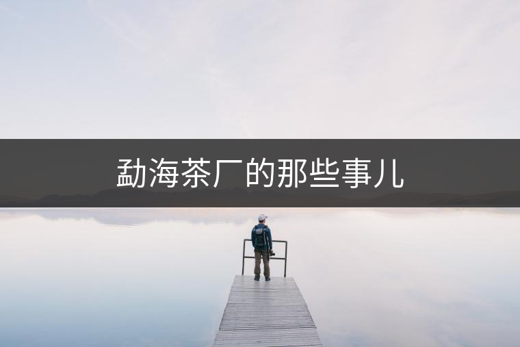 勐海茶廠的那些事兒 勐海茶廠的那些事兒