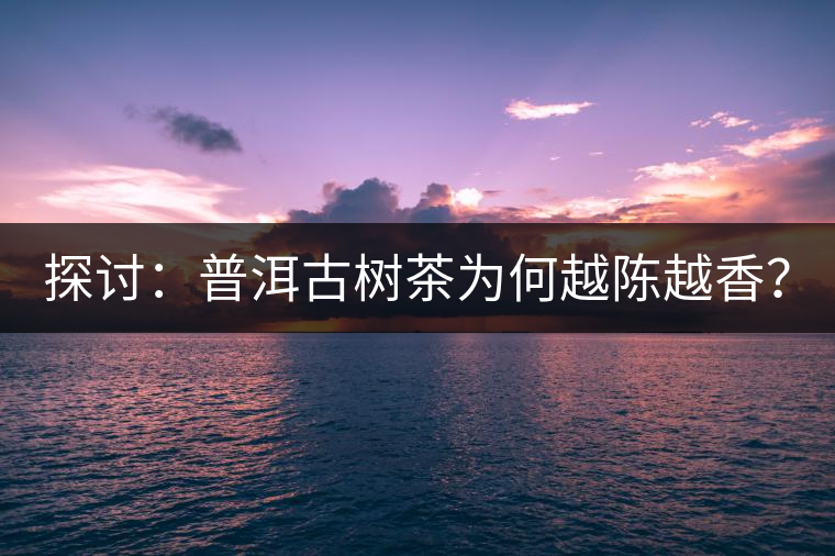 探討：普洱古樹茶為何越陳越香？