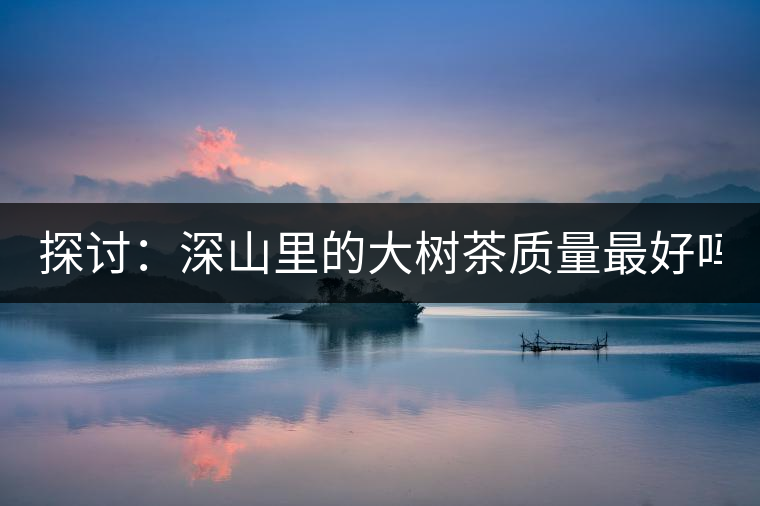 探討：深山里的大樹茶質(zhì)量最好嗎？