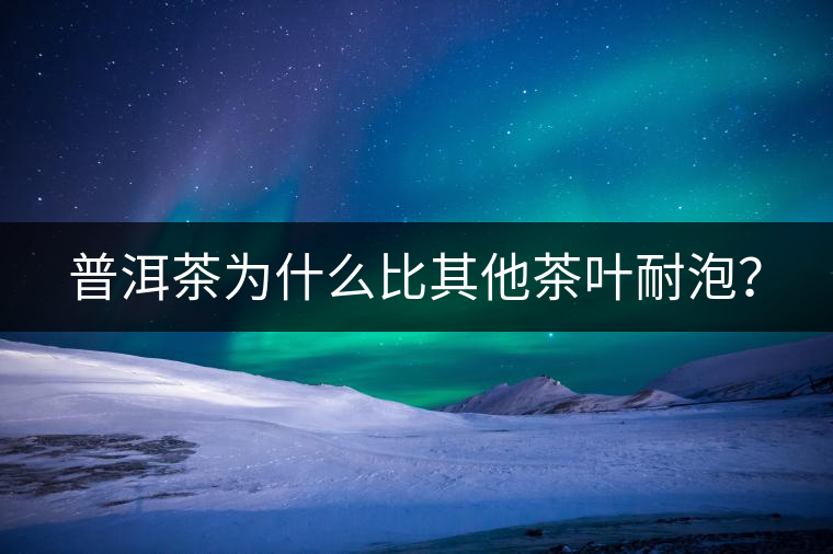 普洱茶為什么比其他茶葉耐泡？