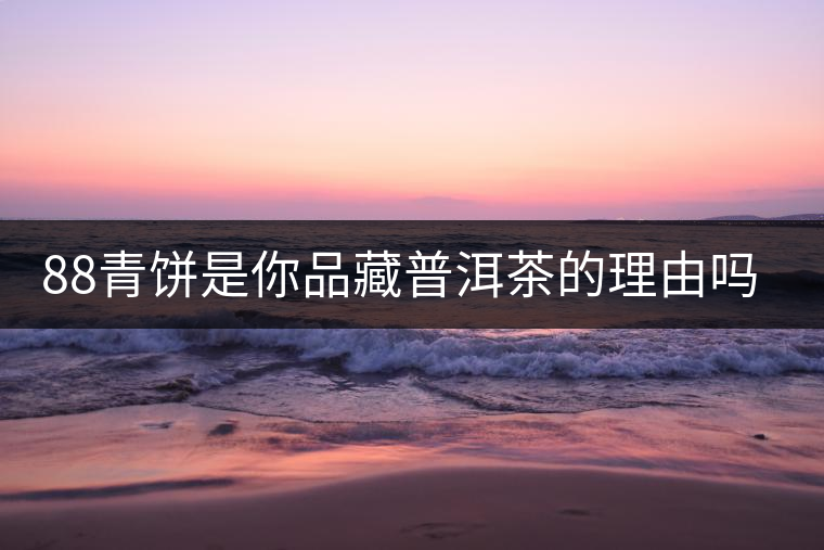 88青餅是你品藏普洱茶的理由嗎？