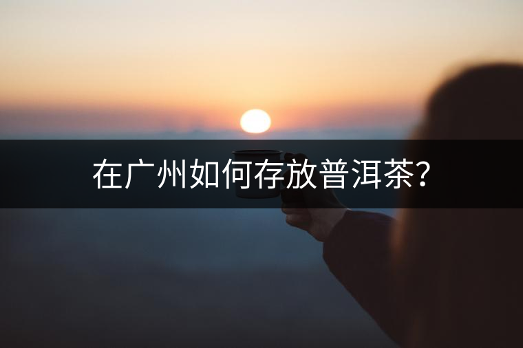 在廣州如何存放普洱茶？
