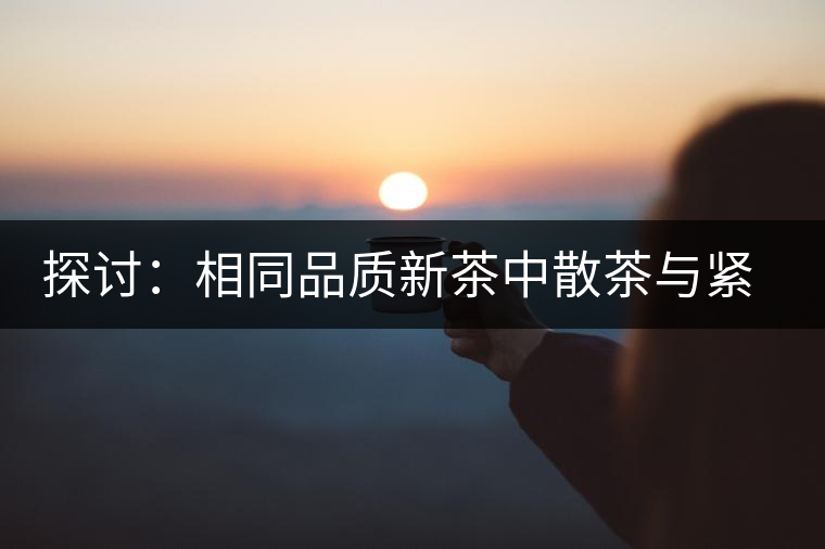 探討：相同品質(zhì)新茶中散茶與緊壓茶哪個(gè)好？