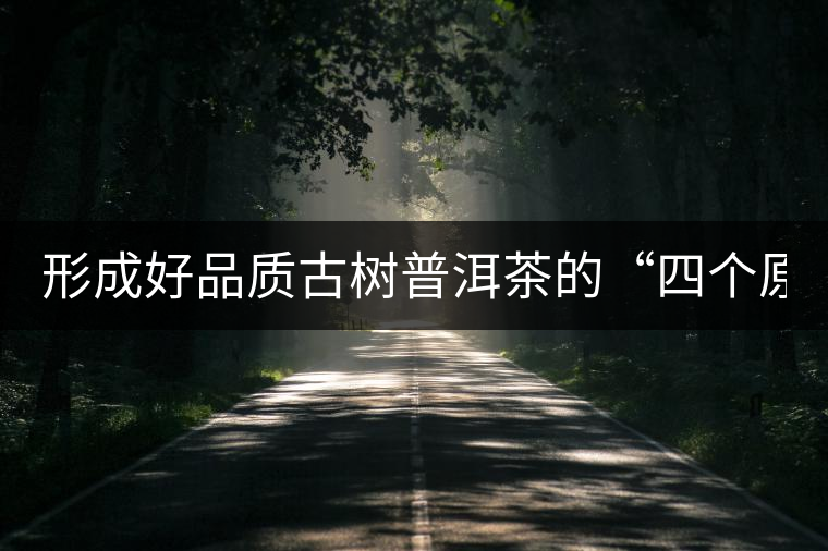 形成好品質(zhì)古樹普洱茶的“四個原則” 形成好品質(zhì)古樹普洱茶的“四個原則”