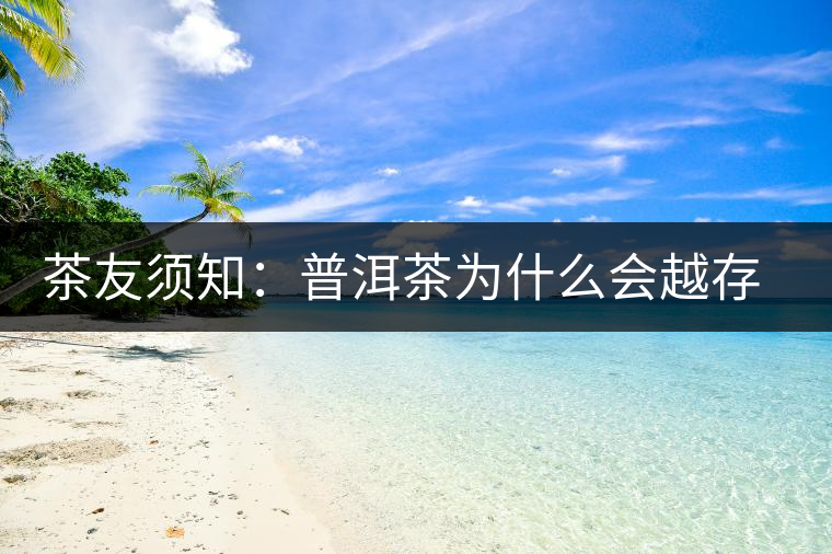 茶友須知：普洱茶為什么會(huì)越存越香？