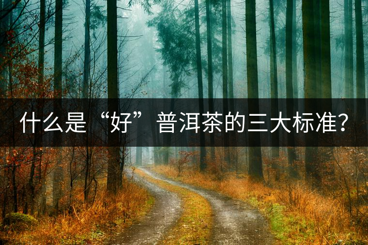 什么是“好”普洱茶的三大標(biāo)準(zhǔn)？