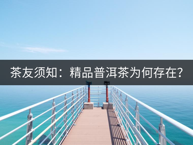 茶友須知：精品普洱茶為何存在？