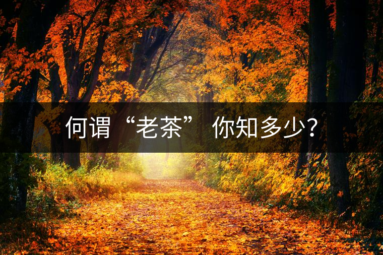 何謂“老茶” 你知多少？