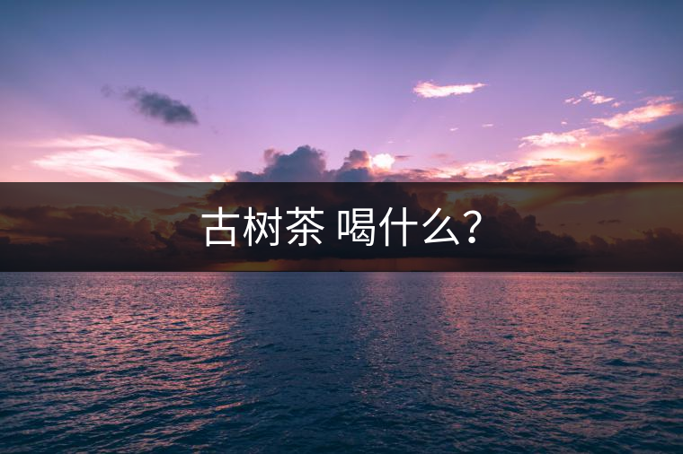 古樹茶 喝什么？