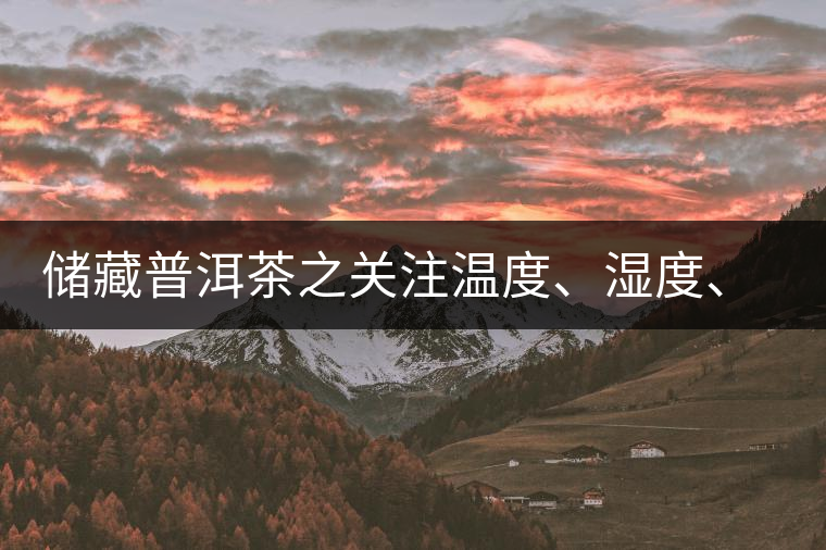 儲藏普洱茶之關注溫度、濕度、異味因素影響