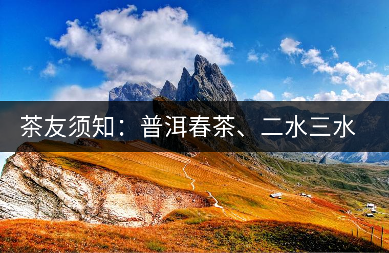 茶友須知：普洱春茶、二水三水茶和谷花茶