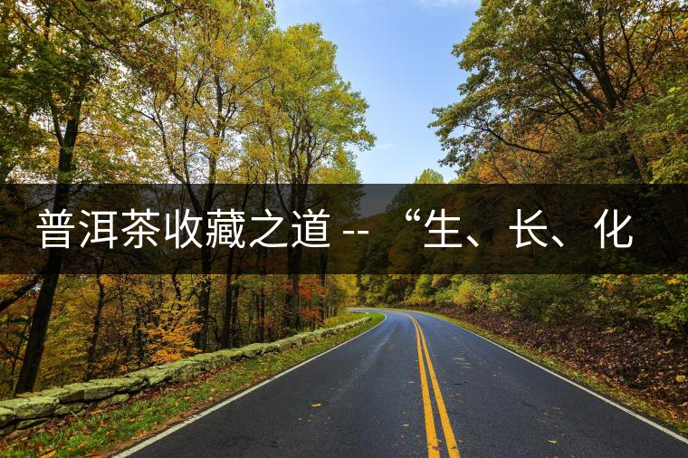 普洱茶收藏之道 -- “生、長、化、收、藏”