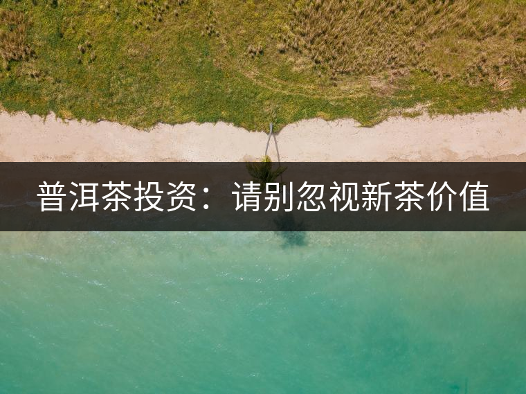 普洱茶投資：請別忽視新茶價(jià)值