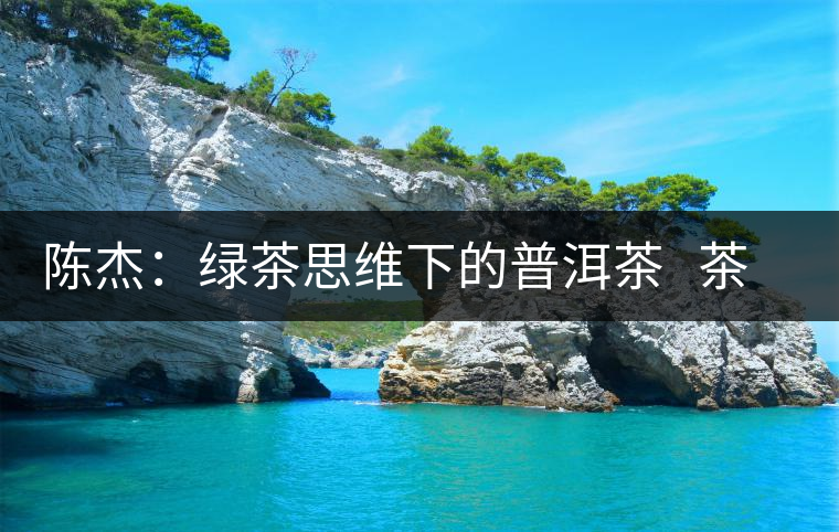 陳杰:綠茶思維下的普洱茶 茶業(yè)復(fù)興 陳杰:綠茶思維下的普洱茶 茶業(yè)復(fù)興