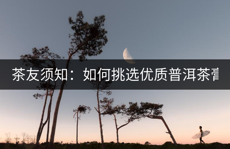 茶友須知：如何挑選優(yōu)質(zhì)普洱茶膏？