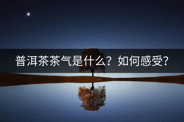 普洱茶茶氣是什么？如何感受？