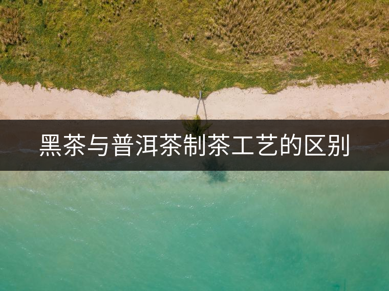 黑茶與普洱茶制茶工藝的區(qū)別 黑茶與普洱茶制茶工藝的區(qū)別
