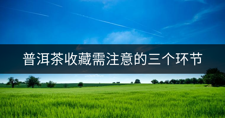 普洱茶收藏需注意的三個(gè)環(huán)節(jié) 普洱茶收藏需注意的三個(gè)環(huán)節(jié)