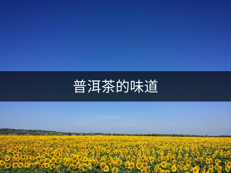 普洱茶的味道
