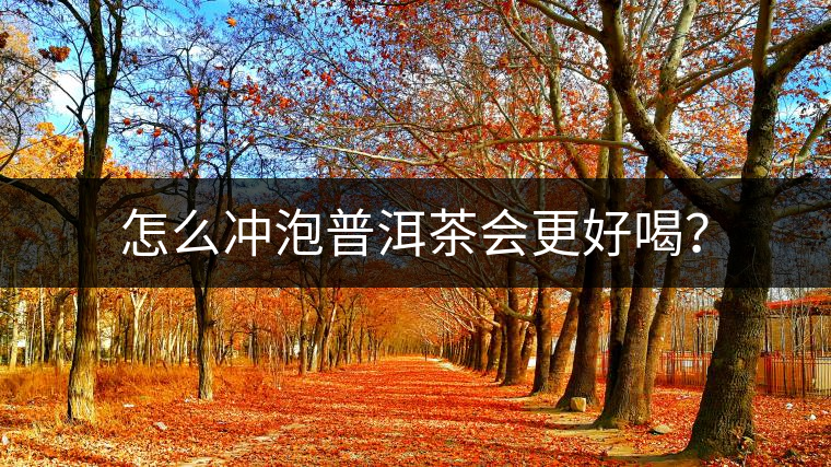 怎么沖泡普洱茶會(huì)更好喝？