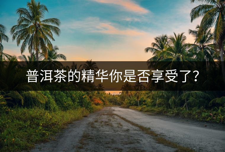 普洱茶的精華你是否享受了？