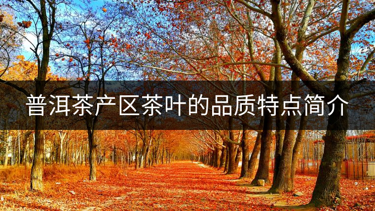 普洱茶產(chǎn)區(qū)茶葉的品質(zhì)特點(diǎn)簡介 普洱茶產(chǎn)區(qū)茶葉的品質(zhì)特點(diǎn)簡介