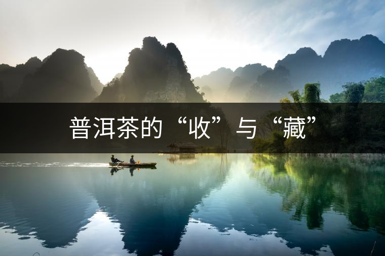 普洱茶的“收”與“藏”