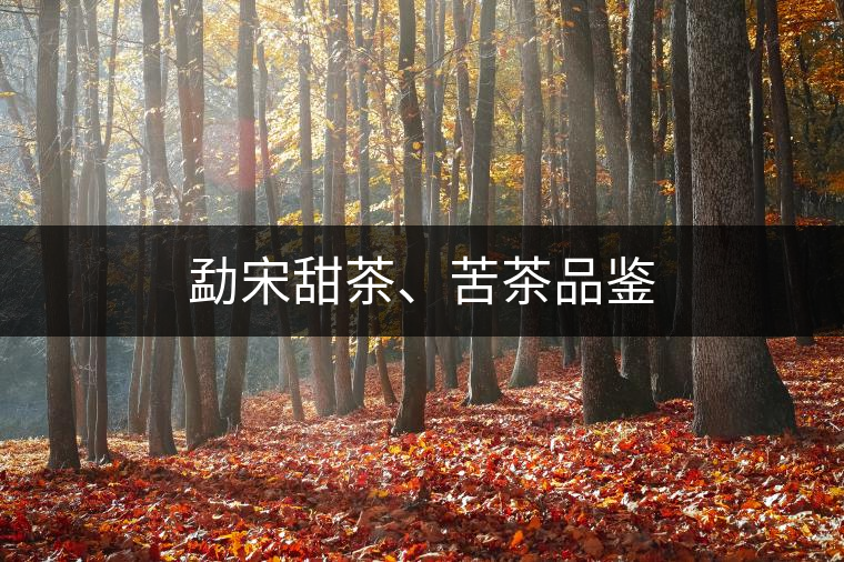 勐宋甜茶、苦茶品鑒