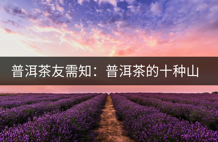 普洱茶友需知:普洱茶的十種山寨版形式 普洱茶友需知:普洱茶的十種山寨版形式