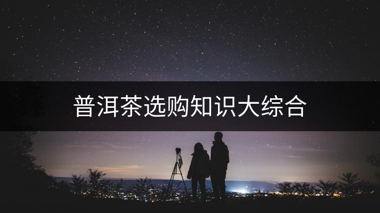普洱茶選購(gòu)知識(shí)大綜合 普洱茶選購(gòu)知識(shí)大綜合