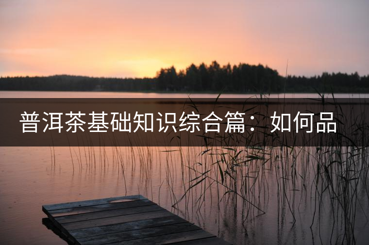 普洱茶基礎(chǔ)知識(shí)綜合篇：如何品鑒普洱茶