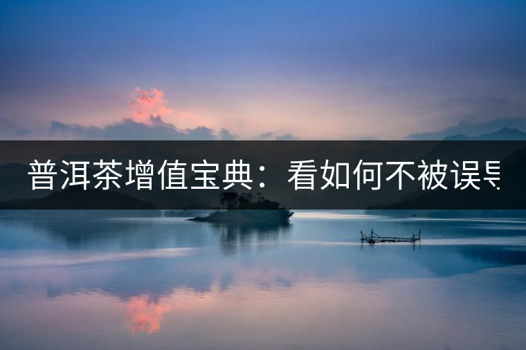 普洱茶增值寶典：看如何不被誤導(dǎo)？