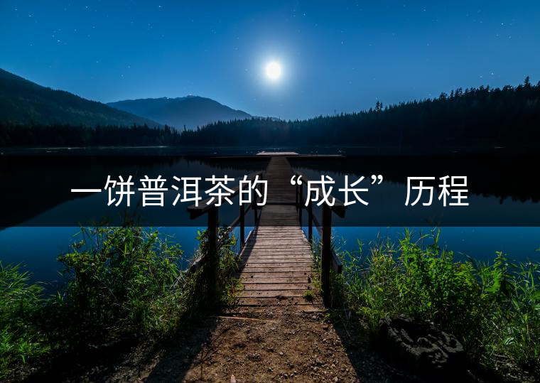 一餅普洱茶的“成長(zhǎng)”歷程