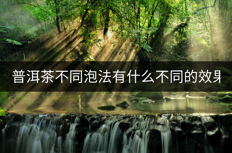 普洱茶不同泡法有什么不同的效果？