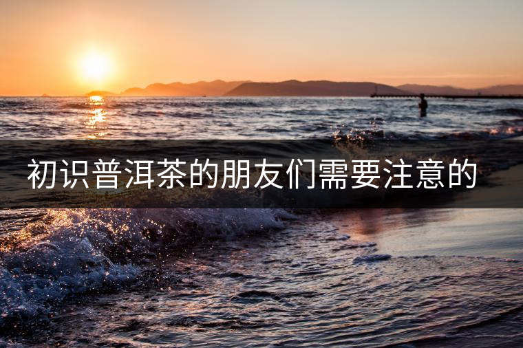 初識(shí)普洱茶的朋友們需要注意的幾點(diǎn) 初識(shí)普洱茶的朋友們需要注意的幾點(diǎn)