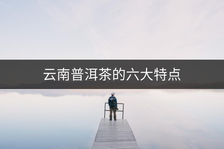 云南普洱茶的六大特點 云南普洱茶的六大特點