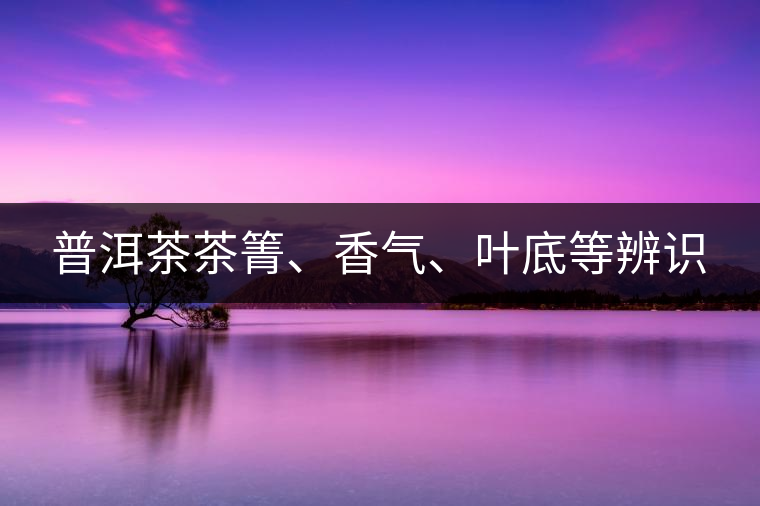 普洱茶茶箐、香氣、葉底等辨識