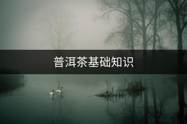 普洱茶基礎(chǔ)知識 普洱茶基礎(chǔ)知識