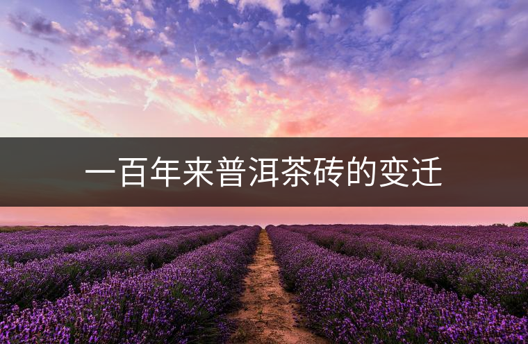 一百年來普洱茶磚的變遷