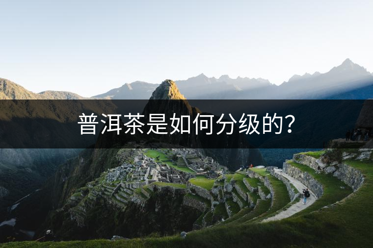 普洱茶是如何分級的？