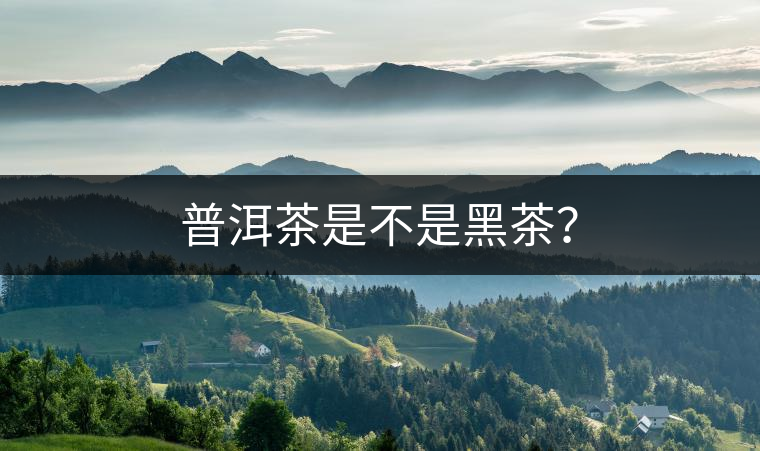 普洱茶是不是黑茶？