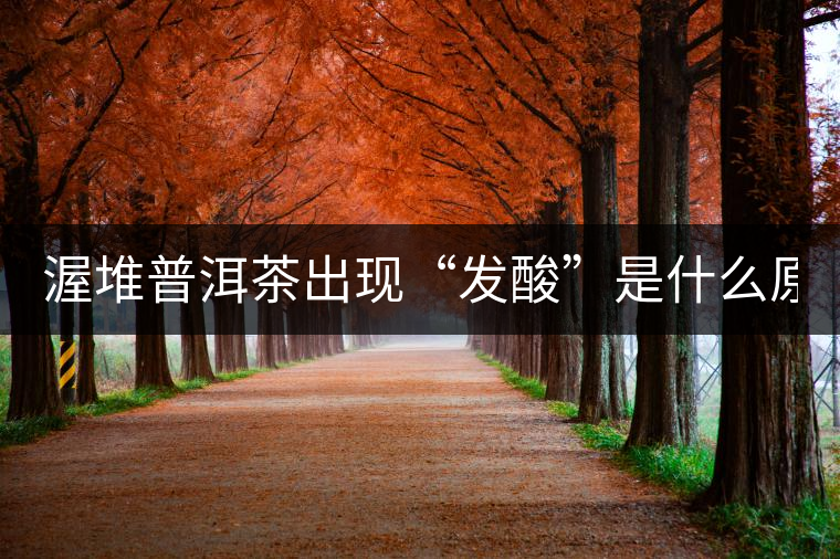 渥堆普洱茶出現(xiàn)“發(fā)酸”是什么原因？