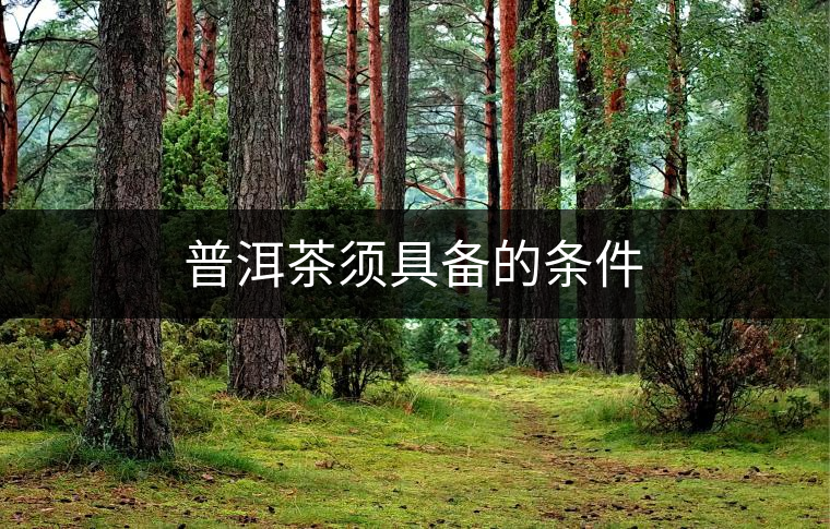 普洱茶須具備的條件