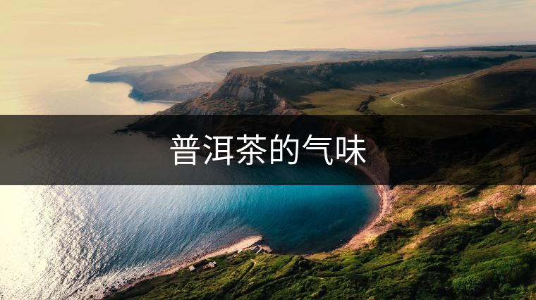 普洱茶的氣味