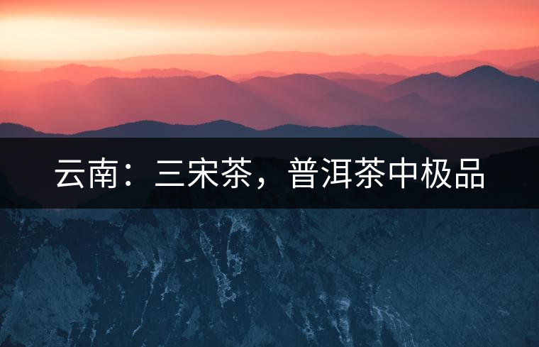 云南：三宋茶，普洱茶中極品