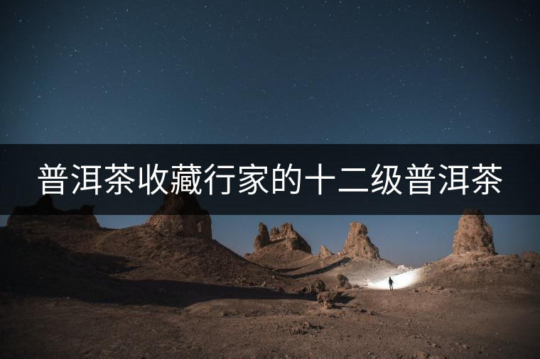 普洱茶收藏行家的十二級(jí)普洱茶