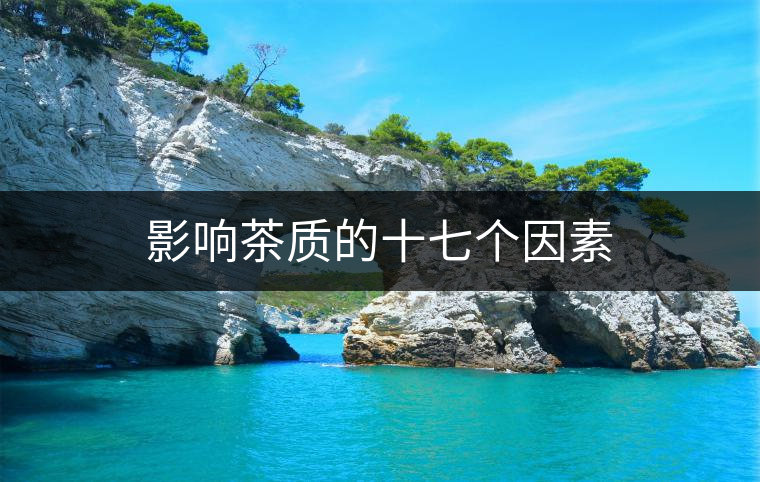 影響茶質的十七個因素 影響茶質的十七個因素