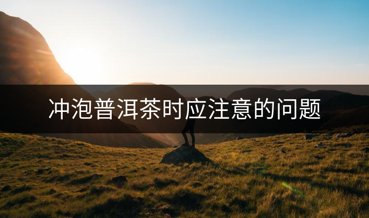沖泡普洱茶時應(yīng)注意的問題 沖泡普洱茶時應(yīng)注意的問題