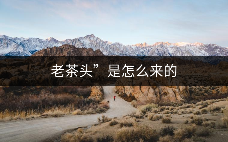 老茶頭”是怎么來(lái)的