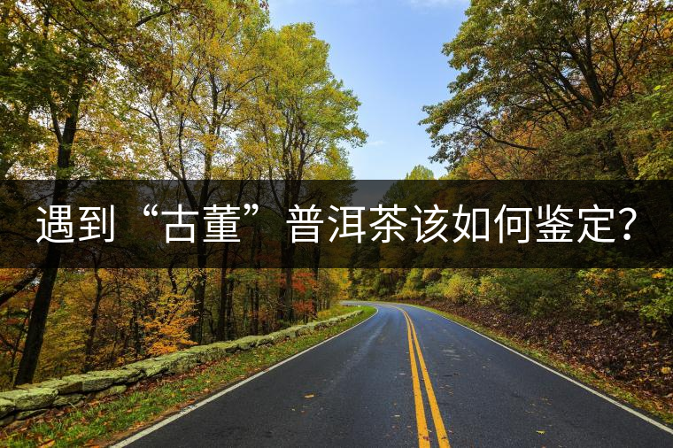 遇到“古董”普洱茶該如何鑒定？